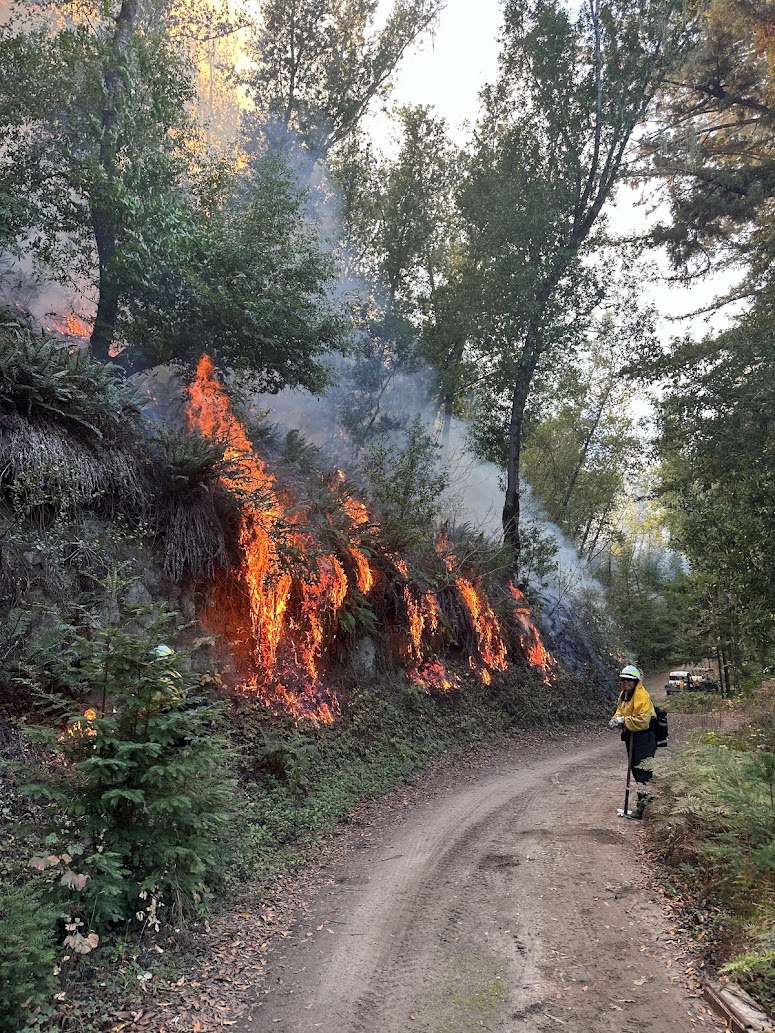 Prescribed Fire with CCPBA
