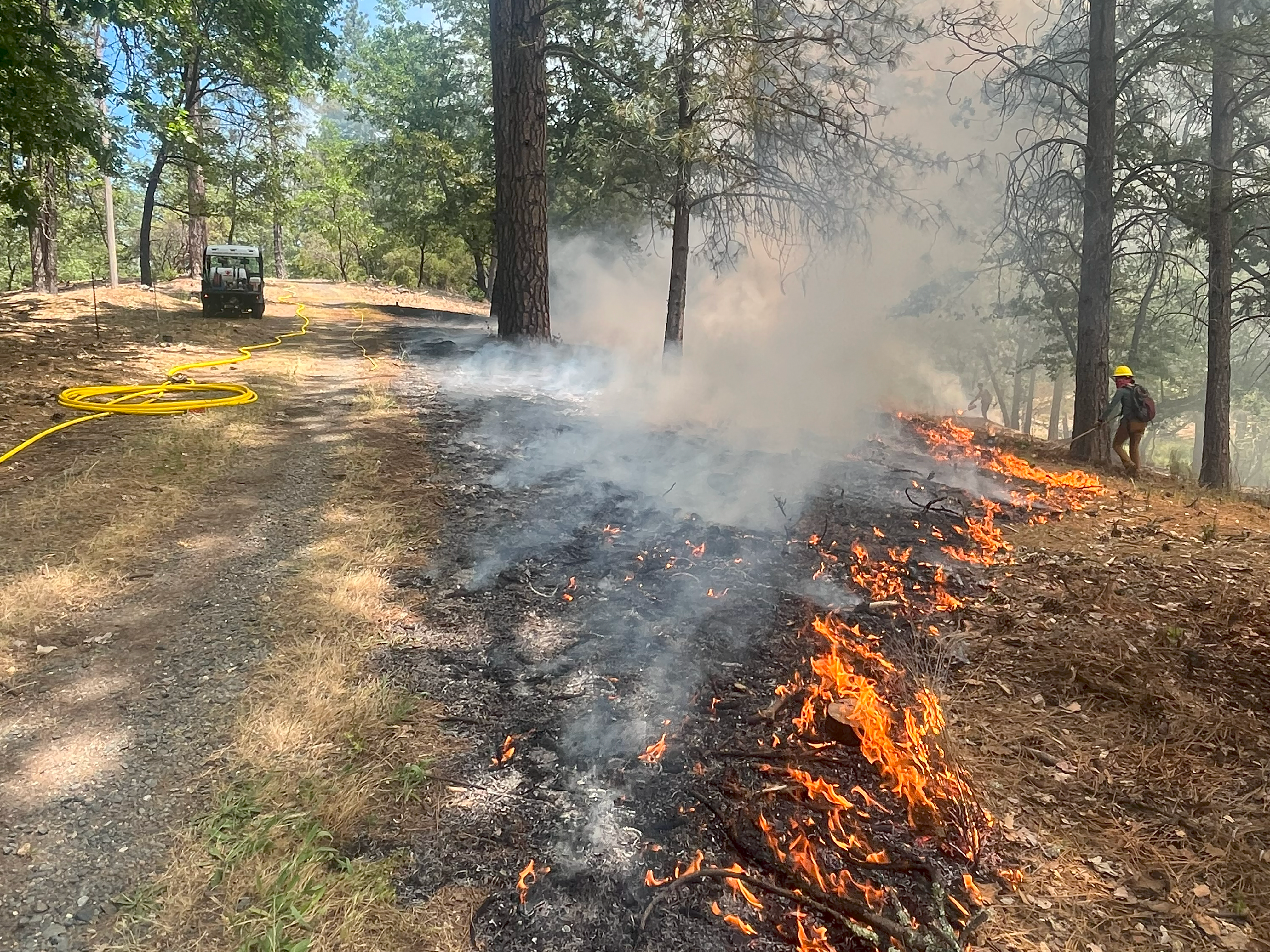 Prescribe Fire Implementation In The Sierra Nevada Mountains